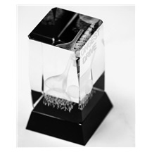 Longridge Drive Crystal Golf Trophy
