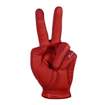 Zoom Weather Herren Handschuh, rot