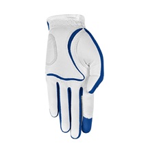 Zoom Weather Herren Handschuh, royal