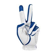 Zoom Weather Herren Handschuh, royal