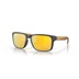 Oakley Holbrook Steel Colection Matte Carbon Prizm 24K Polarized
