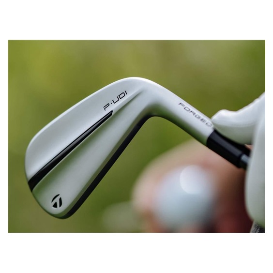 TaylorMade P•UDI Utility Herren Eisen, Graphit