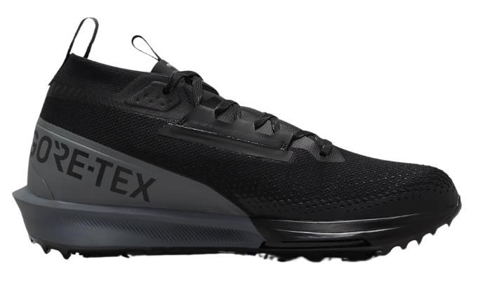 Nike Infinity Tour 2 Gore-Tex Golfschuhe, schwarz