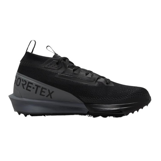 Nike Infinity Tour 2 Gore-Tex Golfschuhe, schwarz