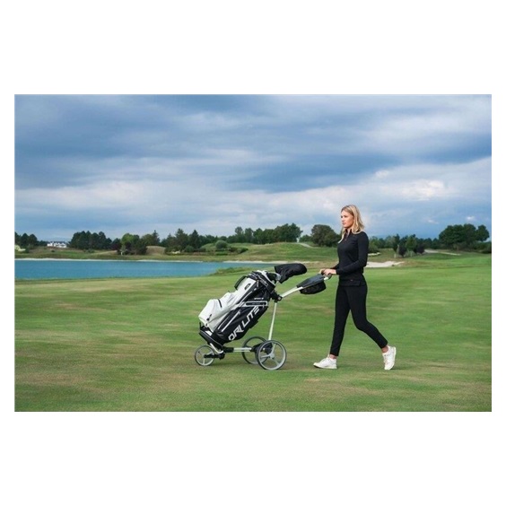 Big Max Dri Lite Sport 3 Cartbag, schwarz/taupe