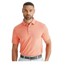 Ping Hershel Herren polo, dubarry multi