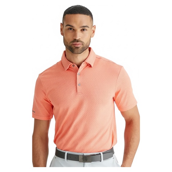 Ping Hershel Herren polo, dubarry multi