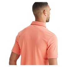 Ping Hershel Herren polo, dubarry multi