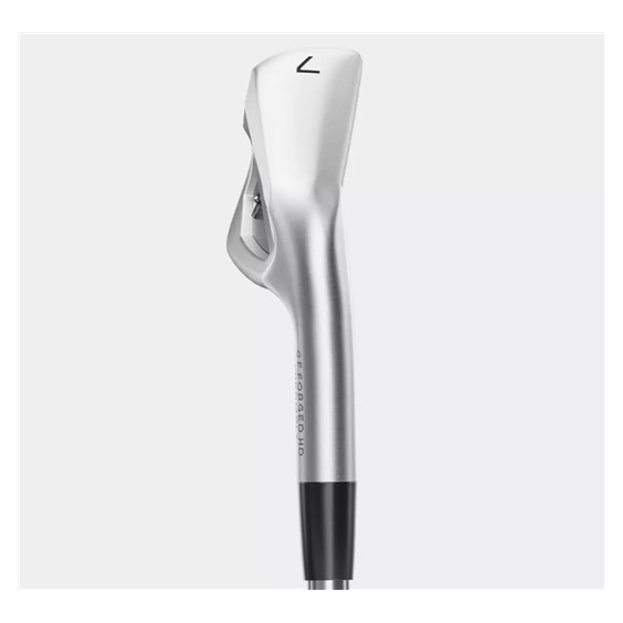 Mizuno JPX 925 Forged Herren Eisen, Stahl