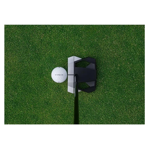 TaylorMade Spider ZT Long Putter 46"