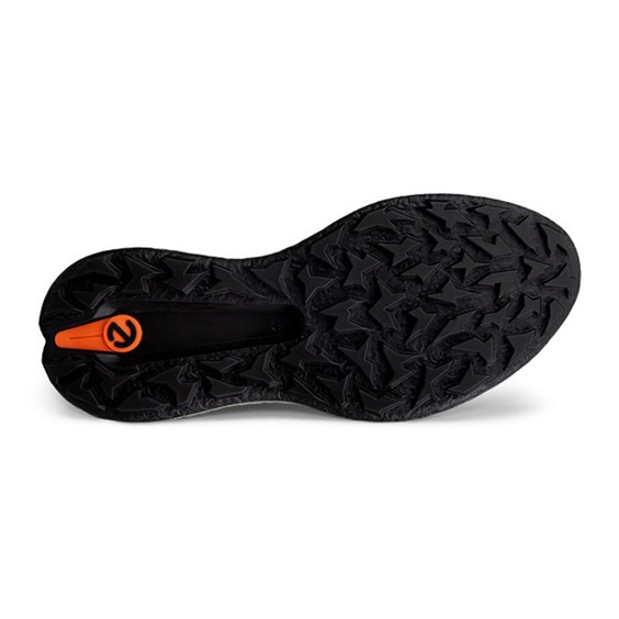 Ecco Biom H5 Boa Herren Golfschuhe, vetiver