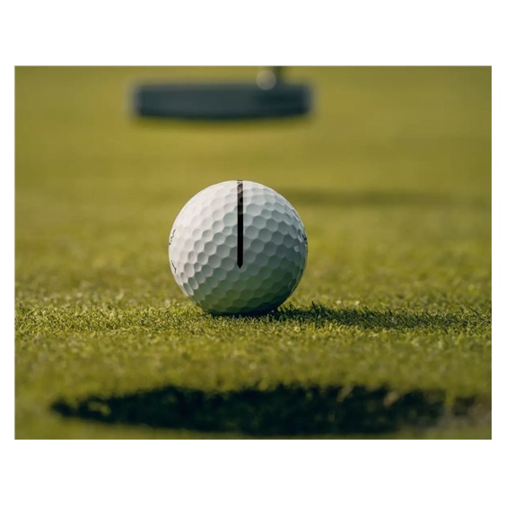 Titleist Pro V1 Performance Alignment Blue Golfbälle