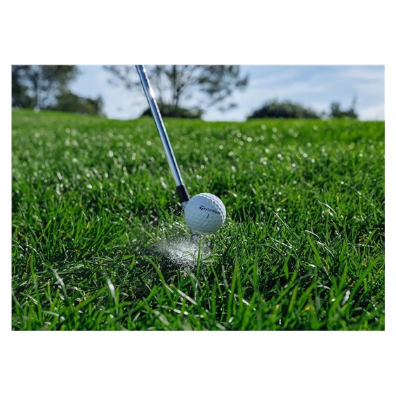 TaylorMade TP5 Stripe Golfbälle