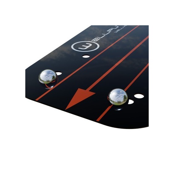 Wellputt Wellvision Putting Mirror