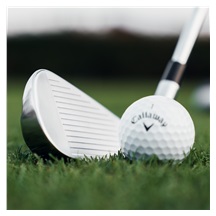 Callaway Quantum Max OS Herren Eisen, Graphit