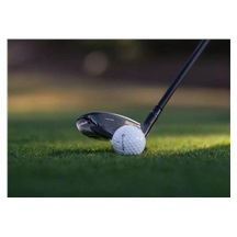 TaylorMade Qi4D Herren Fairwayholz
