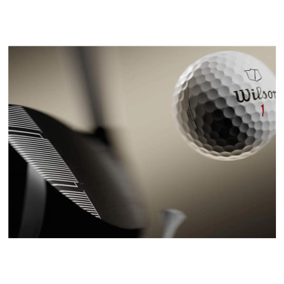 Wilson Staff Model Golfbälle