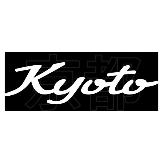 Mizuno M.Craft Kyoto P Grey Putter