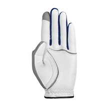 Zoom Tour Herren Handschuh, weiss/silber/blau