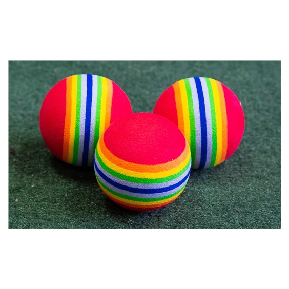 Longridge Multi-Coloured Foam Trainingsbälle, 6Stk.